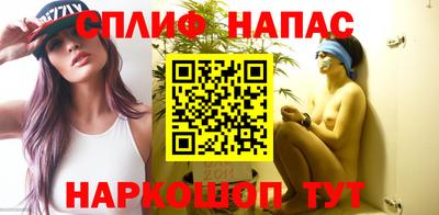шишки Изобильный