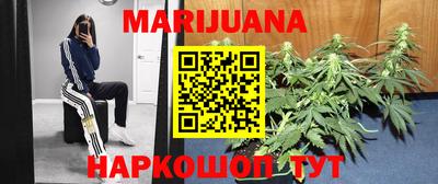 амф Заволжье