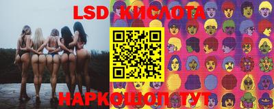 амф Заволжье