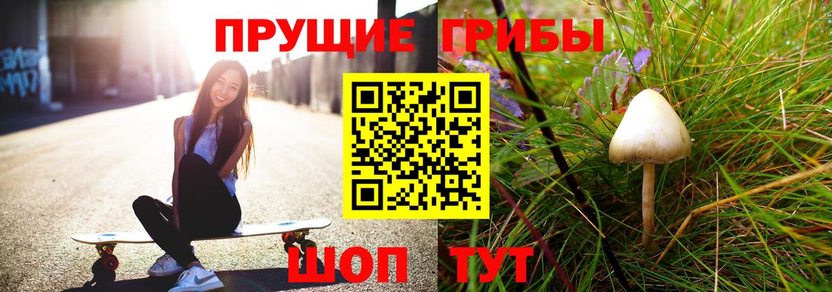 Псилоцибиновые грибы Magic Shrooms Кузнецк
