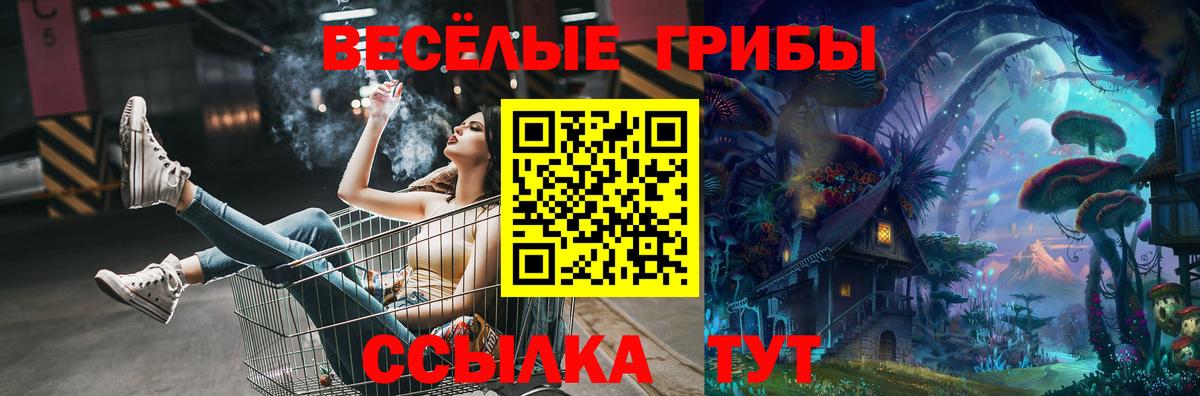Галлюциногенные грибы MAGIC MUSHROOMS  Вход с VPN  наркотики  Кузнецк  Псилоцибиновые грибы Psilocybine cubensis 